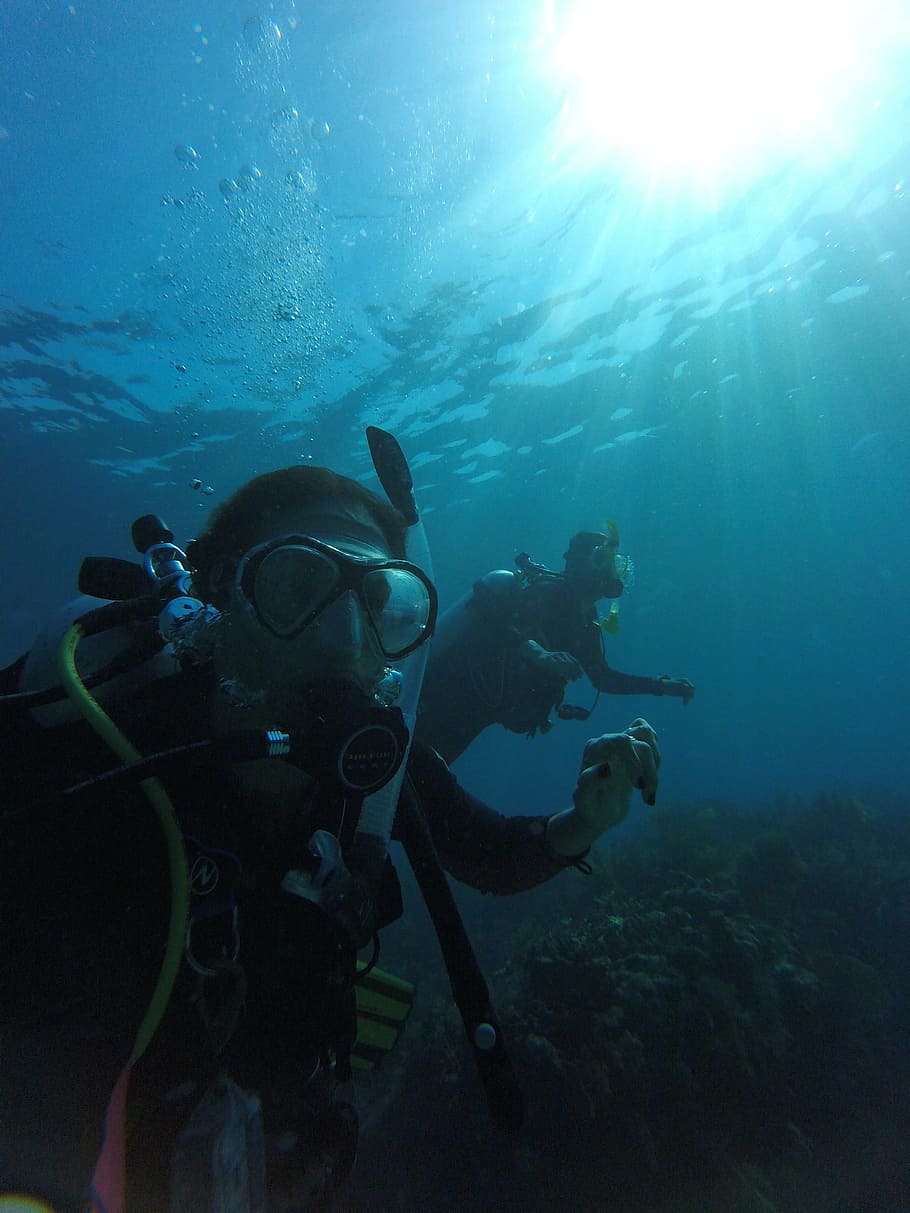 diving, mar, divers, cylinder, dual system, buddy, casal, underwater HD wallpaper