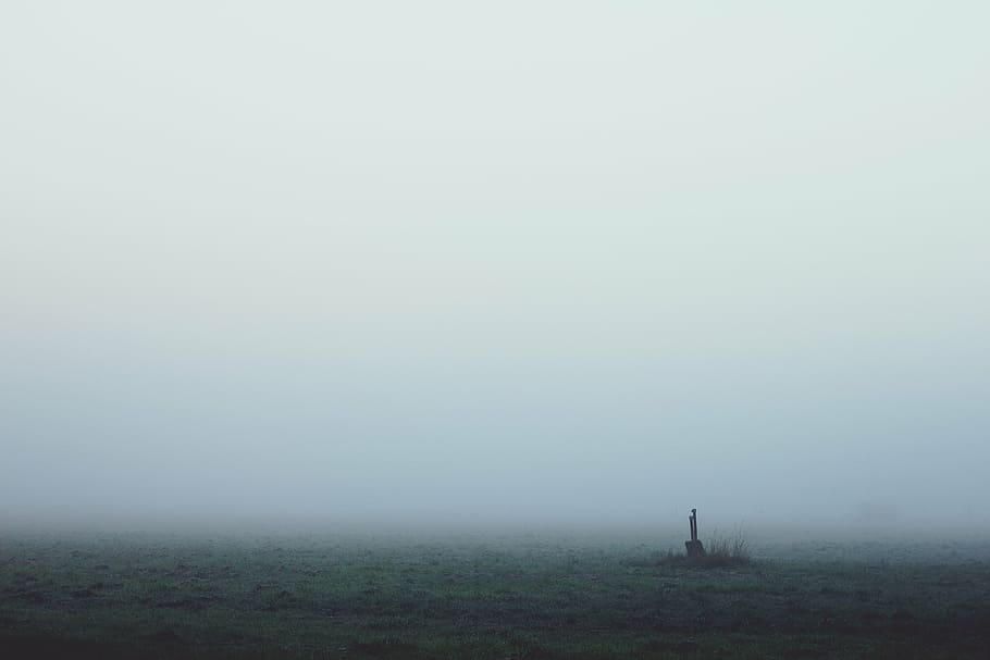 fog, dawn, landscape, morgenstimmung, mood, true detective, HD wallpaper
