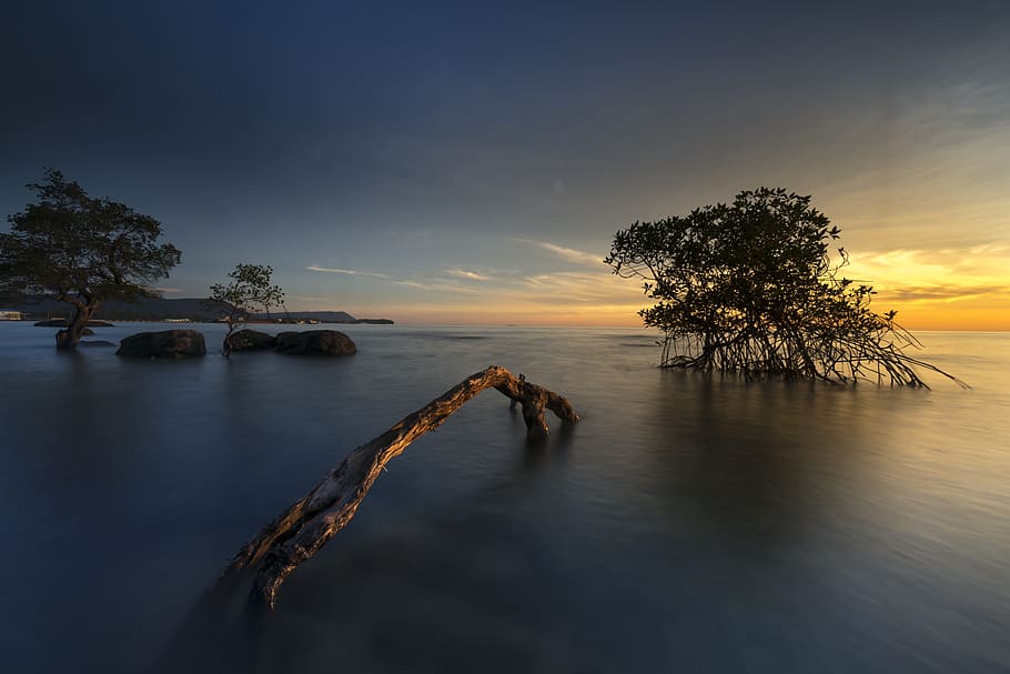 ocean with trees and rocks during golden time, the sun, phuquoc, HD wallpaper