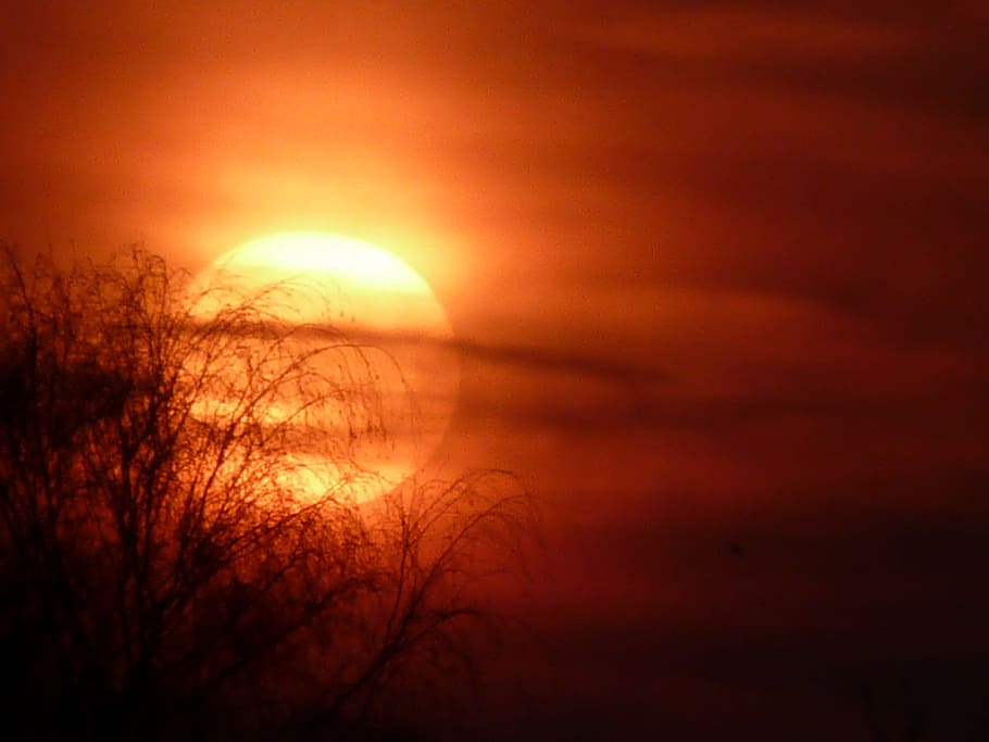 Sunrise, Zelhem, Atmosphere, sunset, nature, orange Color, sunlight HD wallpaper