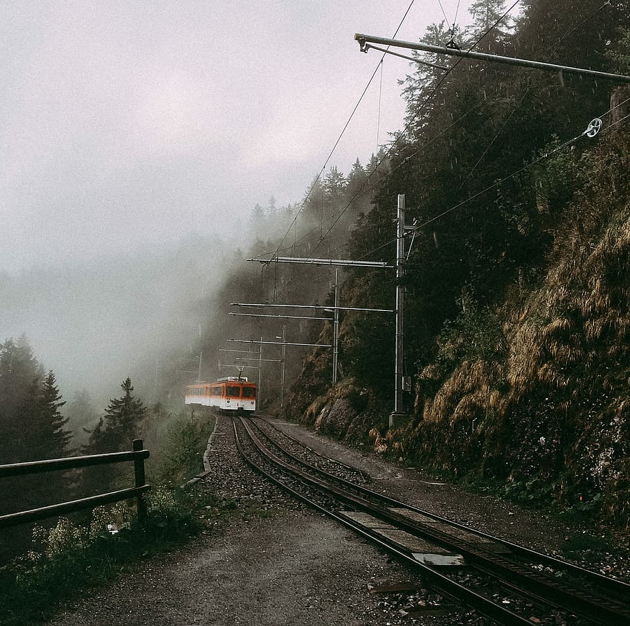 train covered with fog, alp, rigi, track, transportation, rail transportation HD wallpaper