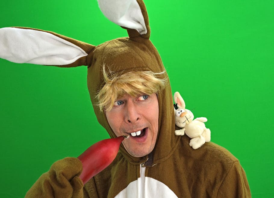 Easter Bunny, Hare, Easter Eggs, carrot, spring, greenbox, hare costume HD wallpaper