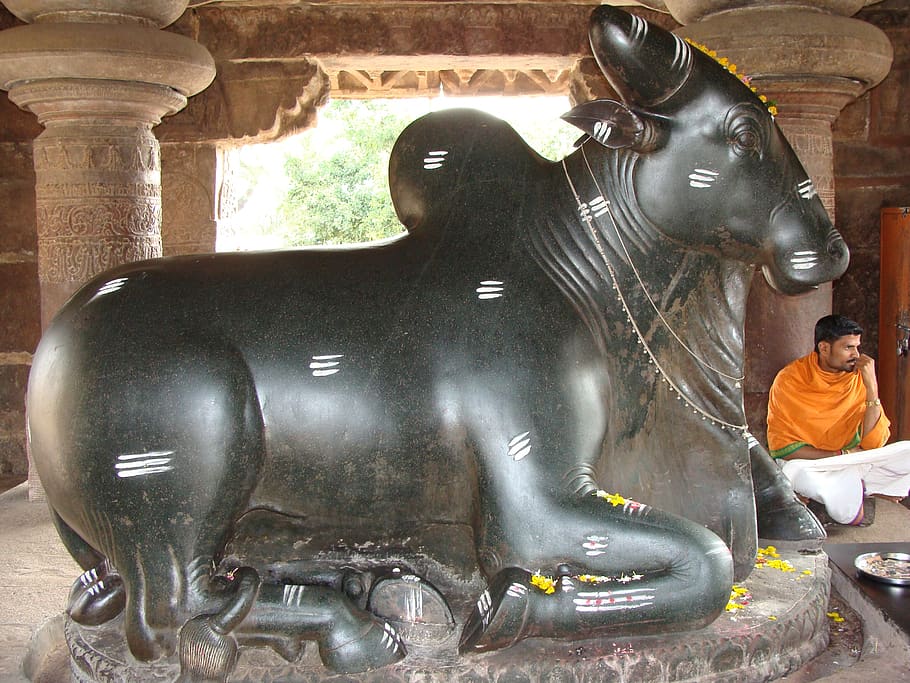 pattadakal, monuments, unesco heritage, temple, bull shrine