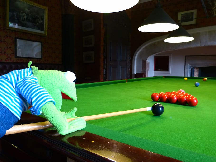 kermit, frog, billiards, balls, black, play, table, company HD wallpaper