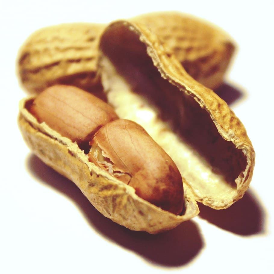 closeup photography of brown peanuts, snack, nutrition, healthy