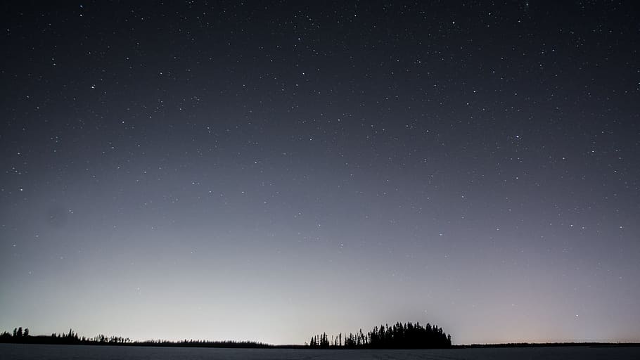 trees, pine, nature, sky, stars, galaxy, space, universe, night HD wallpaper