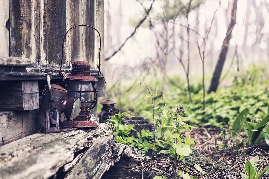 photography of two brown lanterns on brow and gray log, nature HD wallpaper