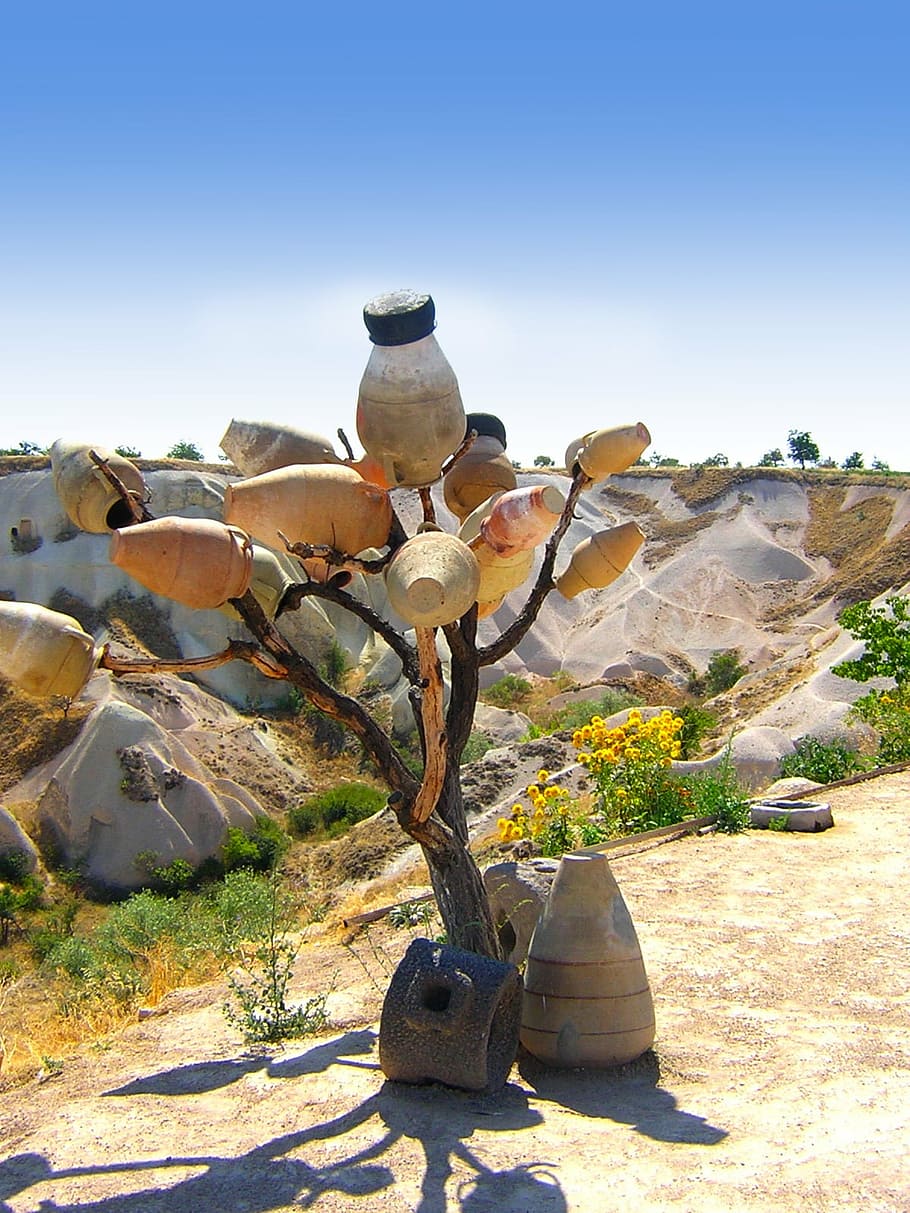 pot, tree, desert, trees, elements, drought, decorative, unusual HD wallpaper
