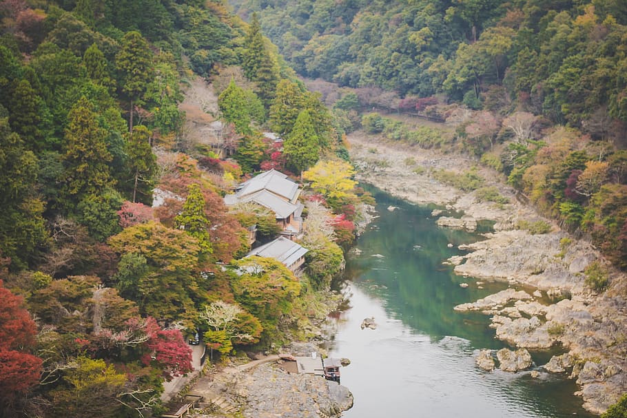 river, water, rocks, trees, plant, nature, stone, grass, fall HD wallpaper