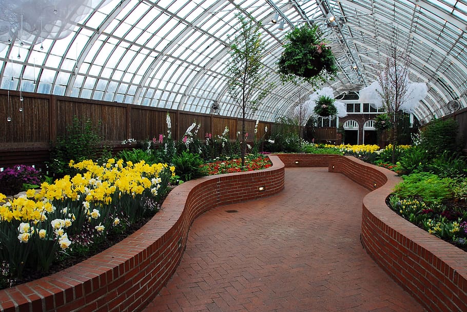 Phillips, Conservatory, Pittsburg, Path, phillips conservatory HD wallpaper