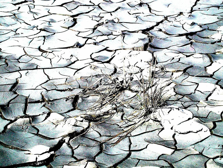 Nature, Drought, Cracks, Without Water, backgrounds, abstract HD wallpaper