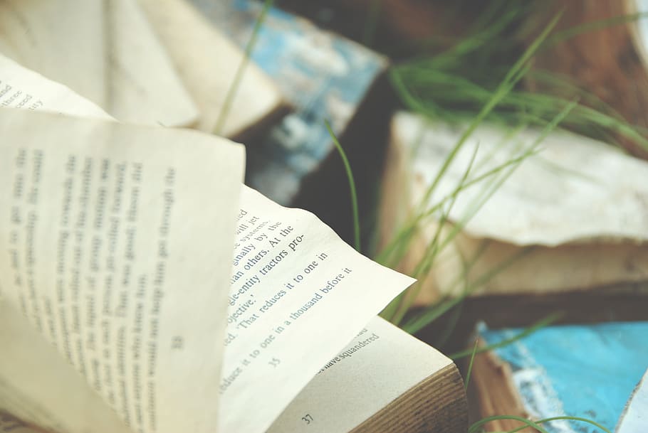 opened book in selective focus photography, shallow focus photography of open book HD wallpaper