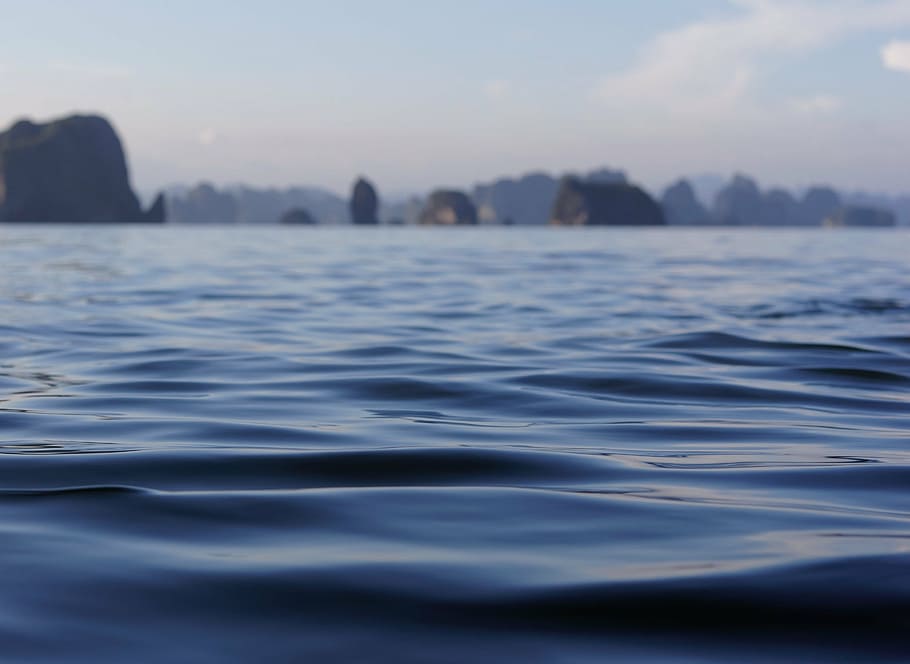 photo of body of water, sea, coast, deep, islands, liquid, plants HD wallpaper