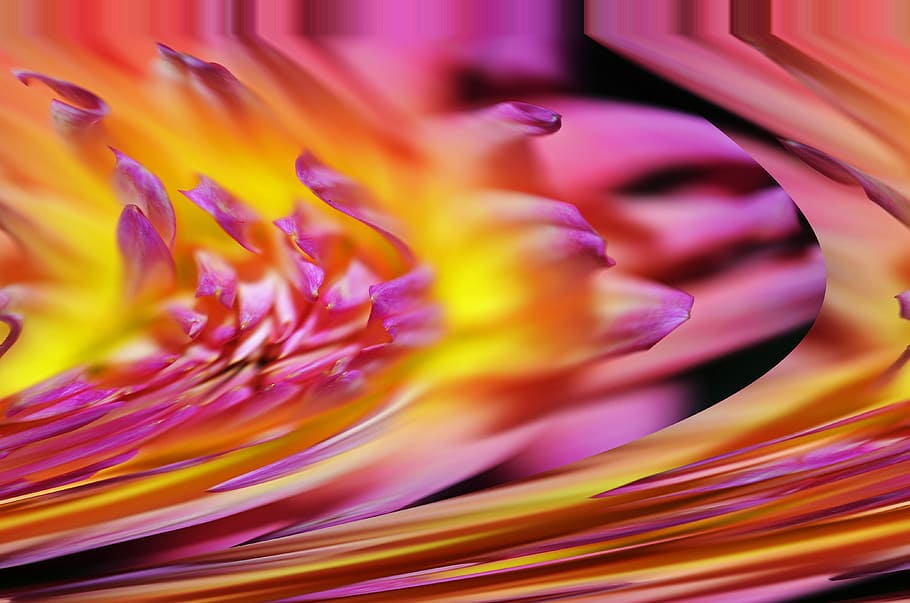 Flower, Purple, Yellow, violelt, abstract, wave, full frame HD wallpaper
