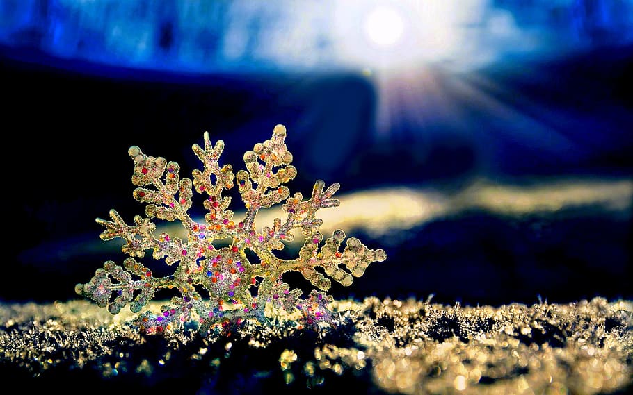 Sun, Ice, Frost, Cold, Winter, star, back light, modified, frozen HD wallpaper