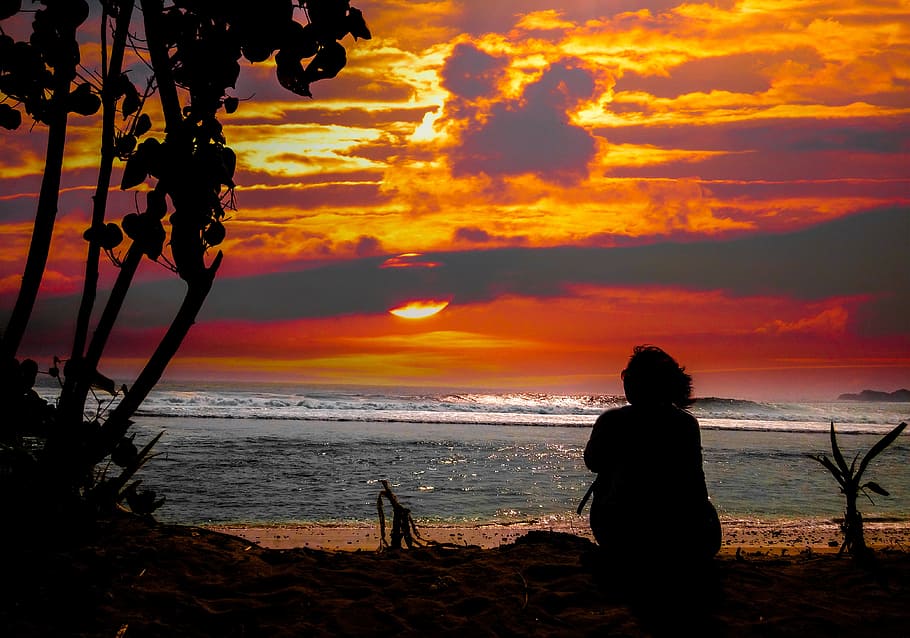 person sitting in front of seashore, view, sunset, beach, sky HD wallpaper