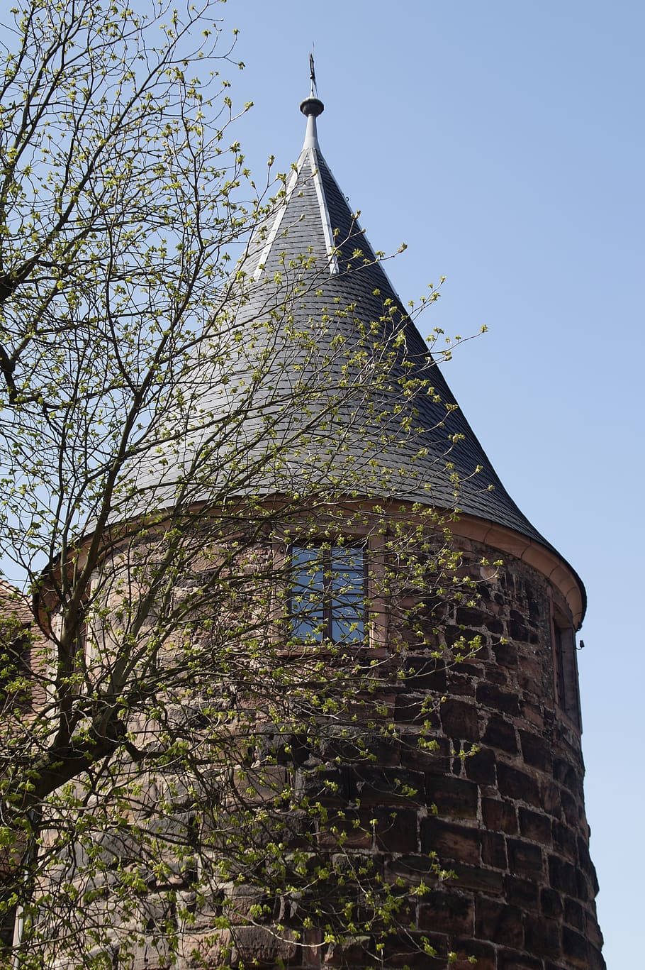 architecture, old, tower, sky, building, roof, spring, heidelberg HD wallpaper