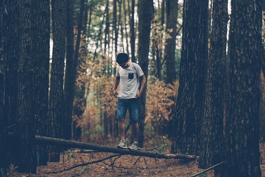man standing trunk tree, men, outdoors, forest, nature, people HD wallpaper