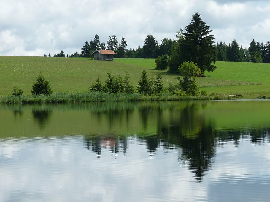 pond, mirroring, nature, waters, lake, landscape, nesselwang HD wallpaper