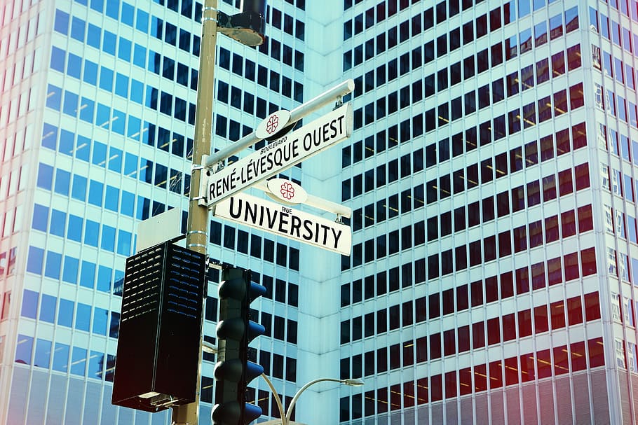 University signage, intersection, city, urban, downtown, cityscape HD wallpaper