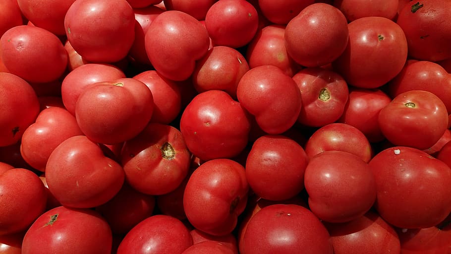 tomato, red tomatoes lot, fruit, vegetable, market, healthy eating HD wallpaper