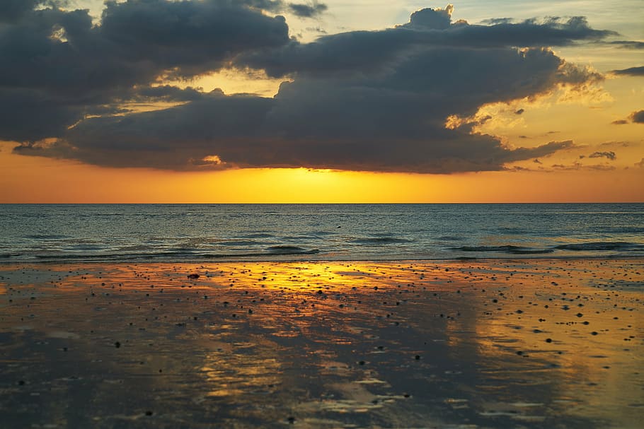 body of water during golden hour, beach, landscape, background HD wallpaper