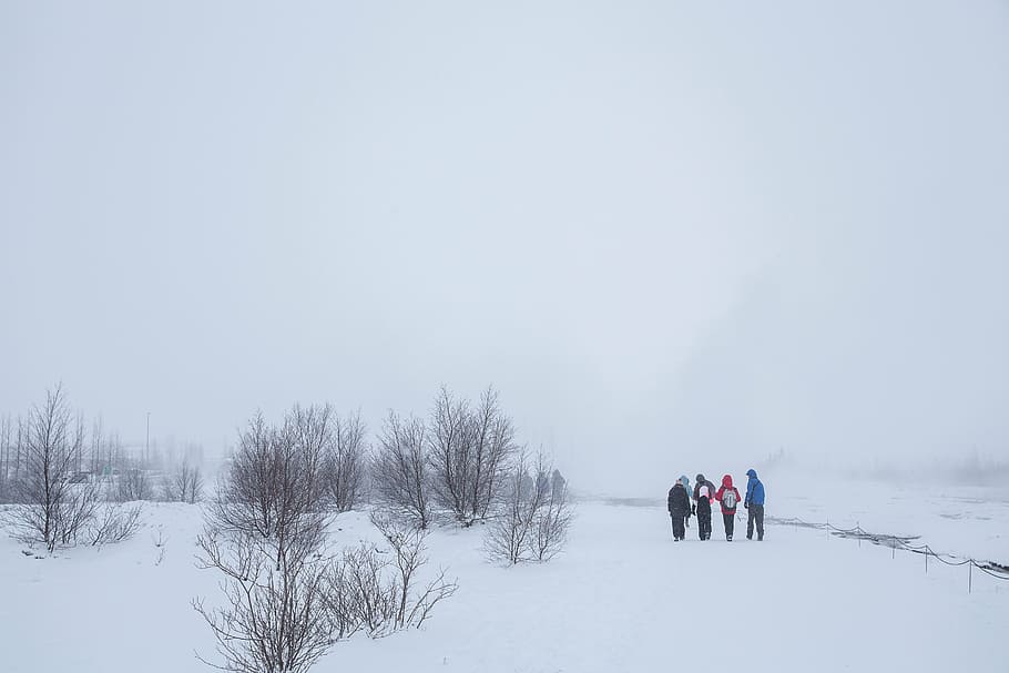 group of four people walking on snow, field, daytime, men, talking HD wallpaper
