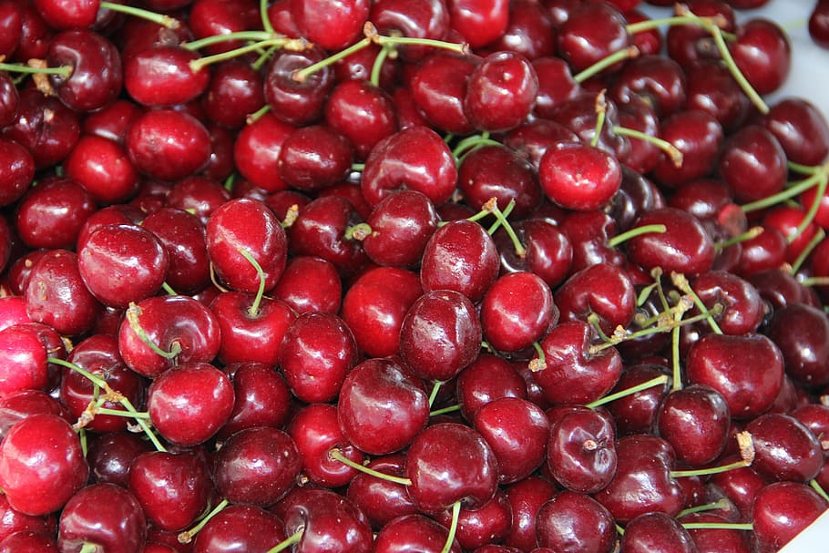 red cherries, fruit, cherry, fruits, spring, food, healthy eating HD wallpaper