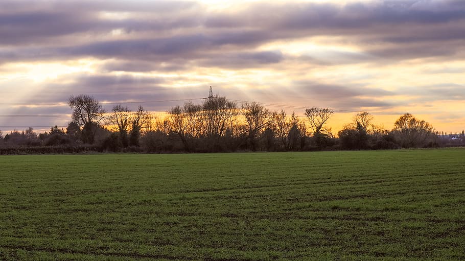 Scenic View of the Field, clouds, cloudy, cloudy sky, country HD wallpaper