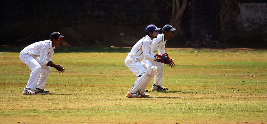 cricket, wicket, keeping, practice, ball game, india, competition, HD wallpaper