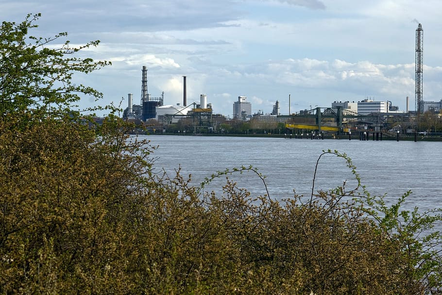 rhine, ludwigshafen, industrial plant, water, industry, factory, HD wallpaper