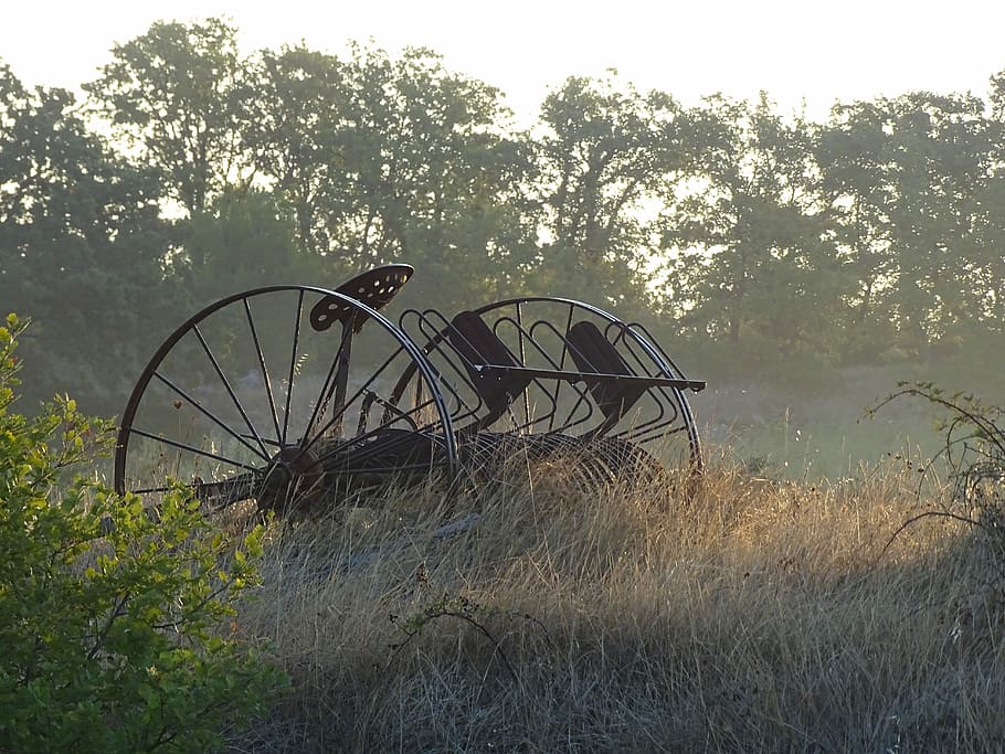 Sun, Light, Tool, Morning Dew, agricultural tool, antique, dawn HD wallpaper