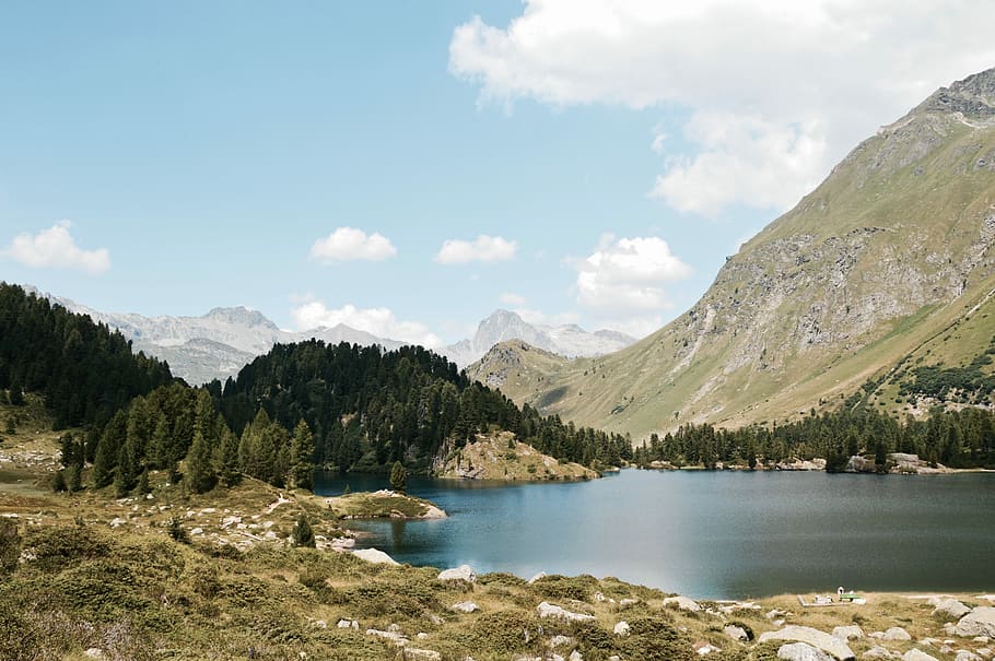 body of water near trees and mountain at daytime, body of water near trees HD wallpaper