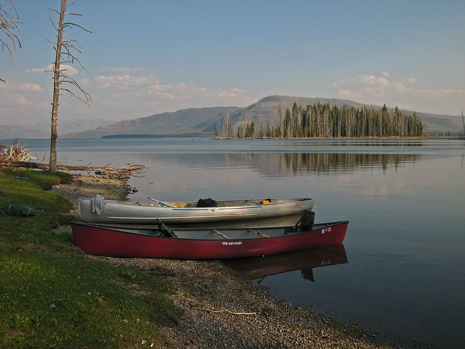 gray speedboat on body of water, canoes, beached, lake, landscape