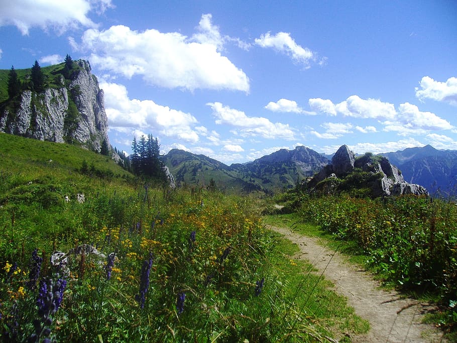 landscape mountain top, austria, mountains, sky, clouds, wildflowers HD wallpaper