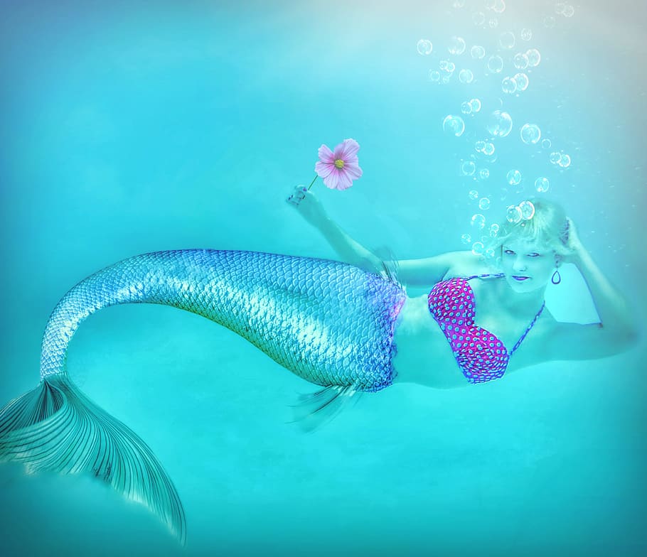 mermaid holding flower, underwater, swimming, fish, tropical