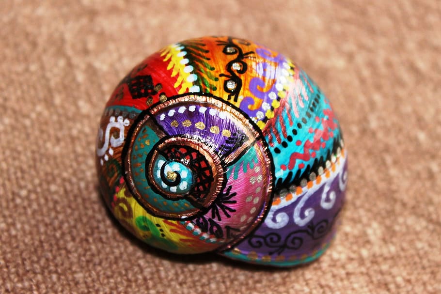 closeup photo of painted shell, teal, purple, red, brown, color HD wallpaper