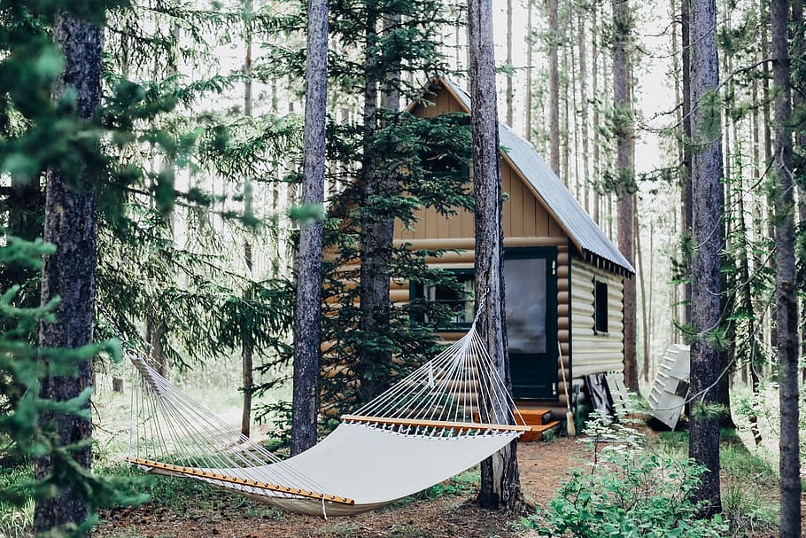 wooden house with hammock attached on tree, beige wooden cabin house center field in forest near white hammock at daytime HD wallpaper
