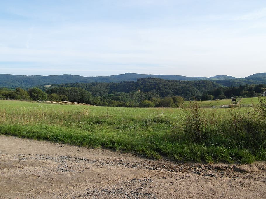 Odenwald, Landscape, Hill, Background, sky, gentle, green, september HD wallpaper