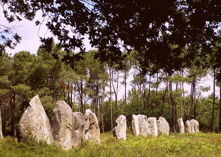 dolmens, megaliths, nature, brittany, trees, megalithic monument, HD wallpaper
