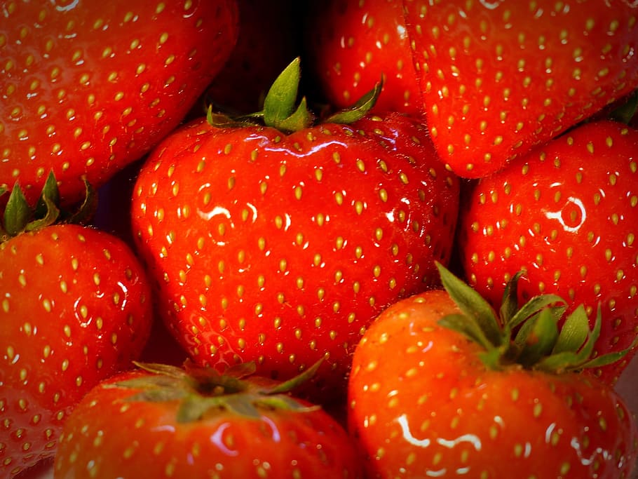 strawberry, fruit, red, sweet, delicious, food, ripe, healthy eating HD wallpaper