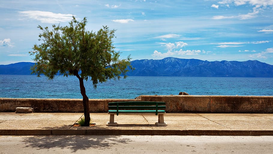 green wooden bench beside tree, sea, coast, beach, croatia HD wallpaper