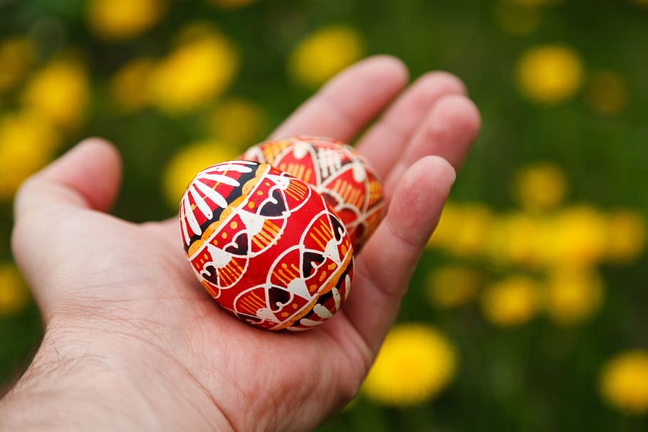 Colorful, Decorated, Decoration, Easter, egg, food, green, hand HD wallpaper