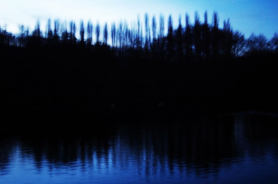 night, pond, trees, landscape, out of focus, lake, reflection HD wallpaper