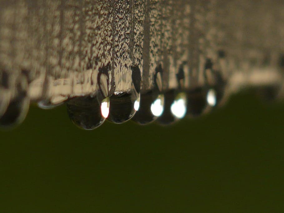 drip, raindrop, water, wet, surface tension, close-up, selective focus HD wallpaper
