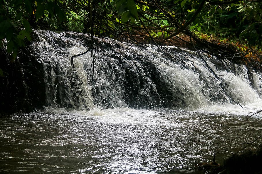 Forest, Nature, Waterfall, river, no people, motion, tree, flowing water HD wallpaper