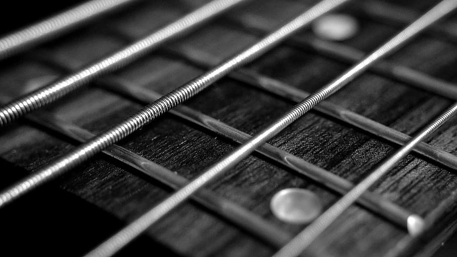 grayscale photo of guitar strings, bass, music, rock, sound HD wallpaper