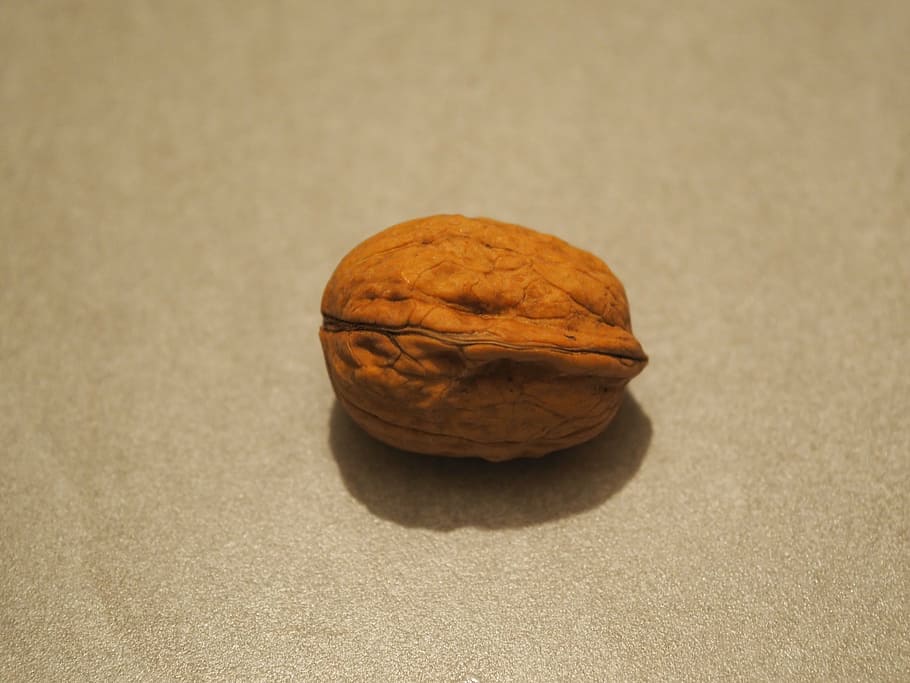 nuts, brown, fruit, fruit tree, food and drink, still life HD wallpaper