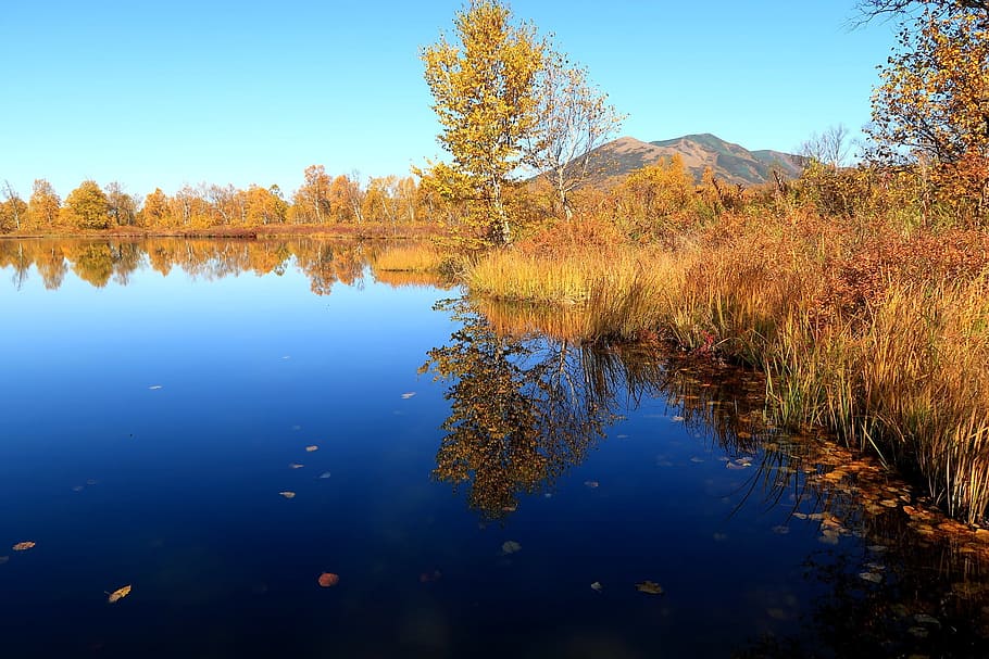 autumn, lake, mountains, reflection, forest, golden autumn HD wallpaper