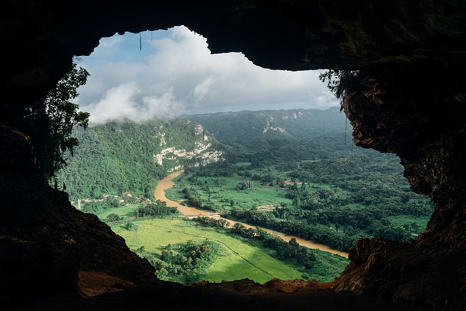 brown cave with over-view of forest at daytime, top view of green leafed trees HD wallpaper